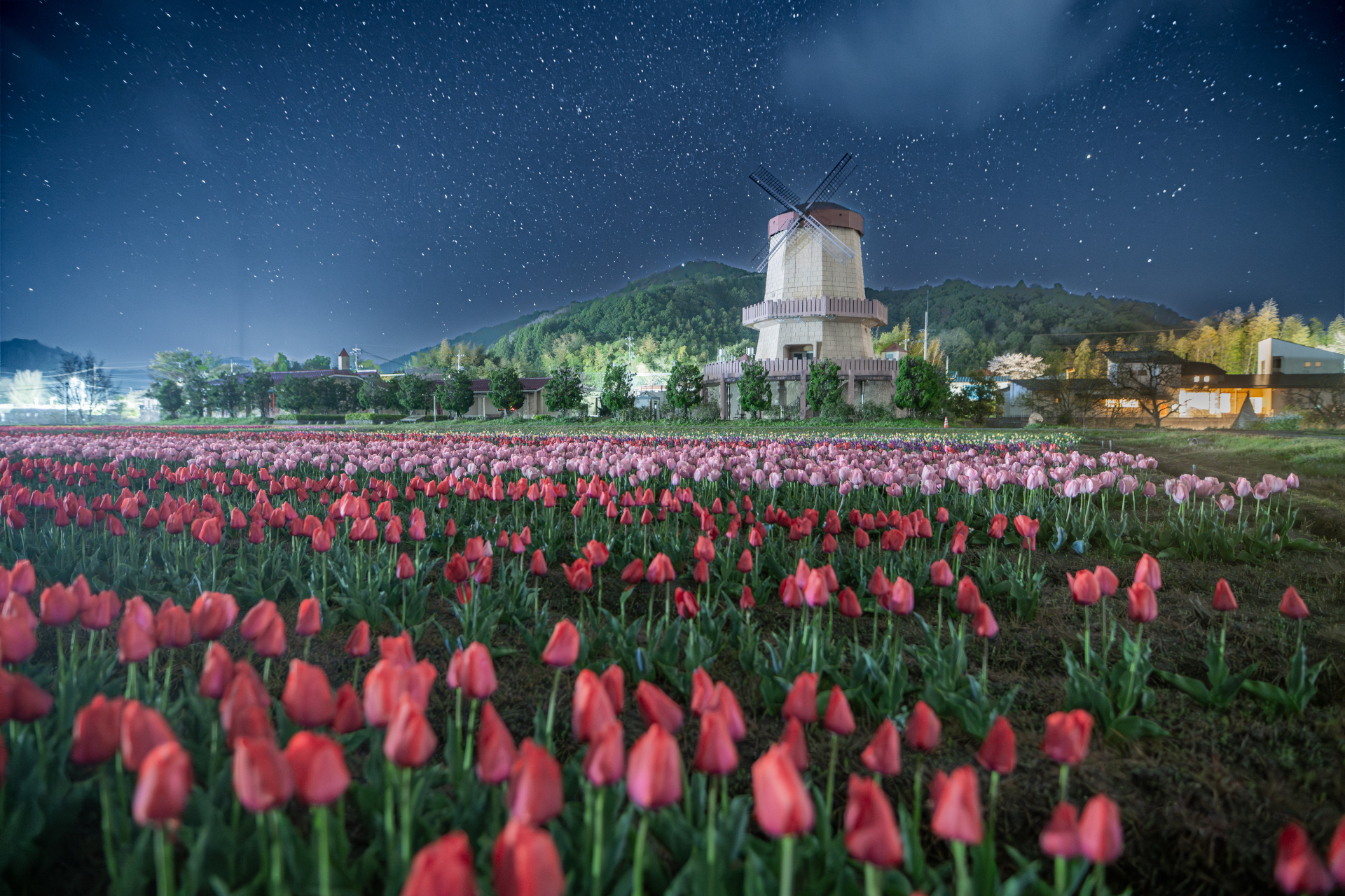 2.「星空に咲く」村川 節秀(米子市)